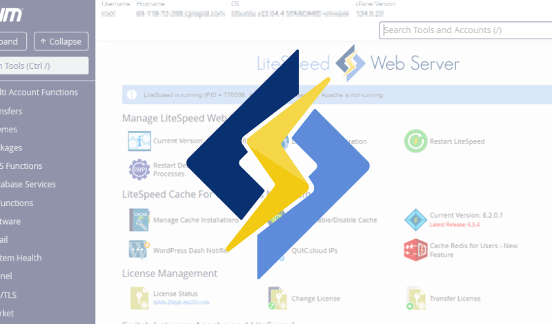 Critical LiteSpeed cPanel Vulnerability Actively Exploited — Patch Immediately